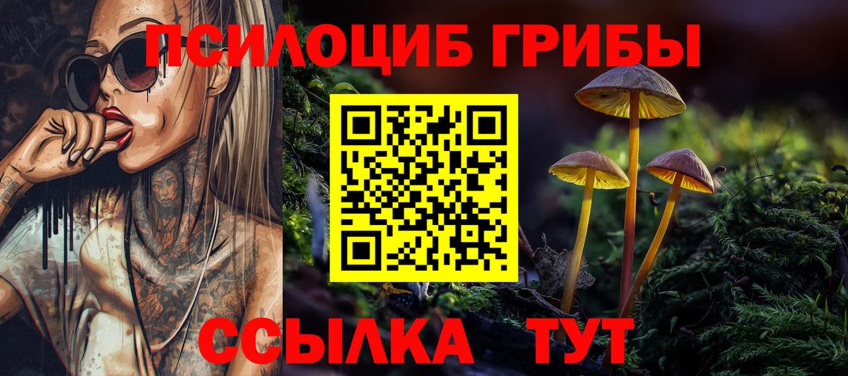 Галлюциногенные грибы прущие грибы  Галлюциногенные грибы мицелий  Якутск  даркнет сайт  Вход с VPN 